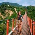DMZ(Demilitarized Zone) with North Korean Defector/Suspension Bridge - The Second Tunnel brings the border into view