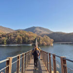 DMZ Tour; NK Defector Meet up & Suspension Bridge (optional) - Imjingak Park and the meaning of the border