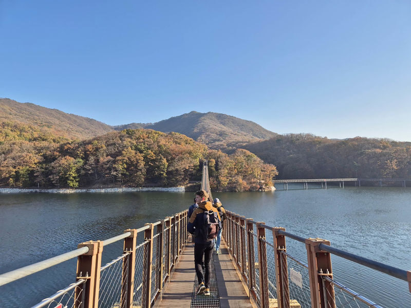 DMZ Tour; NK Defector Meet up & Suspension Bridge (optional) - Imjingak Park and the meaning of the border