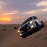 Doha Desert Safari Half-Day Tour - Dune bashing: the main thrill