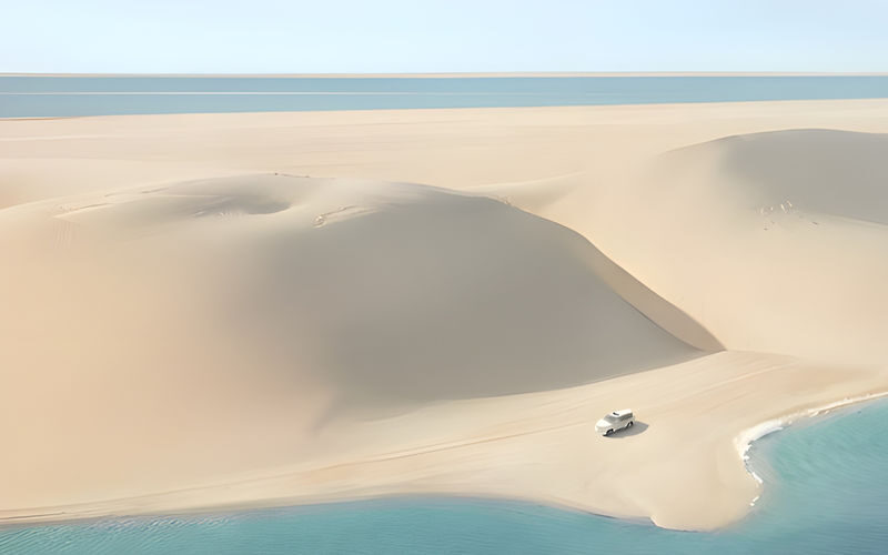 Doha Private Half-Day Desert Safari - Camel time, Arabic tea, and a slower pace