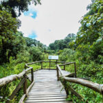 Doi Inthanon National Park Full-Day Small Group Tour - A Karen village stop with tea, coffee and local craft