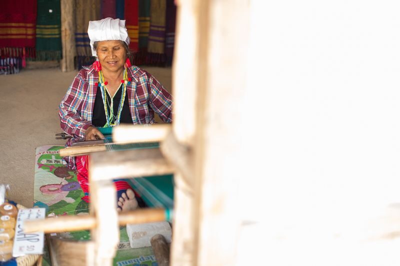 Doi Inthanon National Park Full Day Tour in Chiang Mai - A short walk through the Angka forest