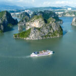Dolphin Day Cruise: Ha Long, Sung Sot, Ti Top with Luxury Transfer - Buffet lunch on the bay
