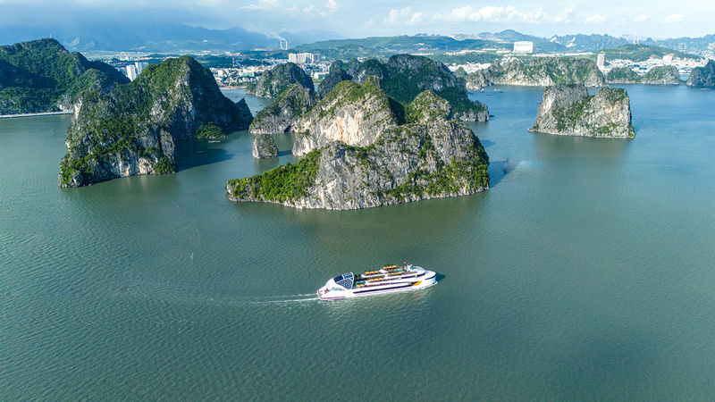 Dolphin Day Cruise: Ha Long, Sung Sot, Ti Top with Luxury Transfer - Buffet lunch on the bay
