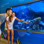 Dolphin Discovery Centre Ticket in Bunbury - Aquariums, displays, and a digital dolphinarium