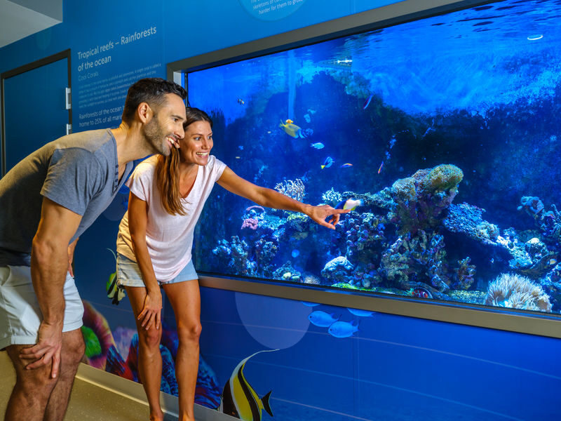 Dolphin Discovery Centre Ticket in Bunbury - Aquariums, displays, and a digital dolphinarium