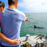 Dolphin Eco-Cruise at Dolphin Discovery Centre in Bunbury - The boat, the commentary, and the wildlife