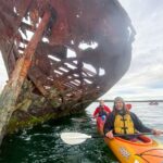 Dolphin Sanctuary and Ships Graveyard Kayak Tour - What the three hours are like