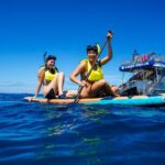 Dolphin Swim and Snorkel With Ocean Activities in Oahu - Makaha Beach brings turtles, fish, and a change of pace