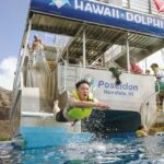 Dolphin Watching and Snorkel with Water Activities in Oahu - Makaha snorkeling and sea life