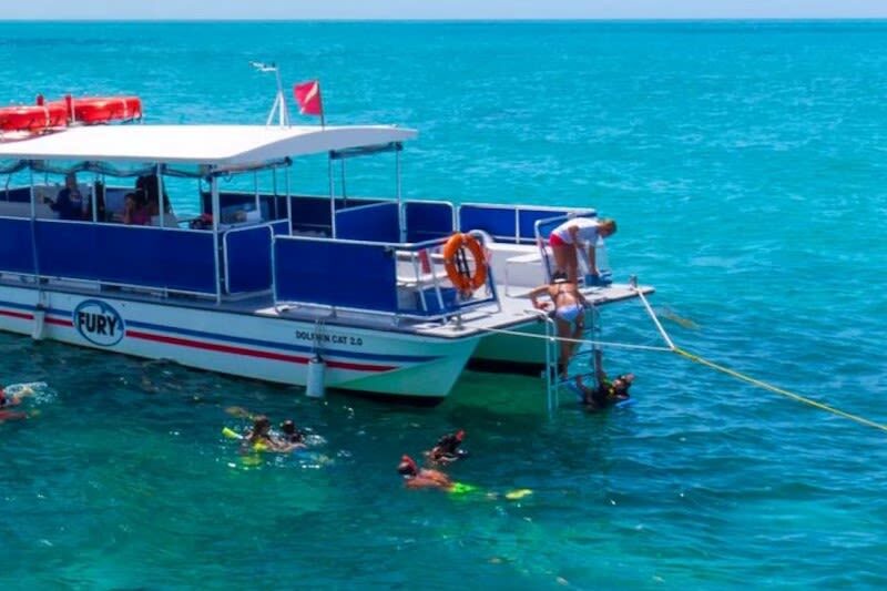 Dolphin Watching and Snorkeling Experience in Key West - Finding dolphins in the Gulf