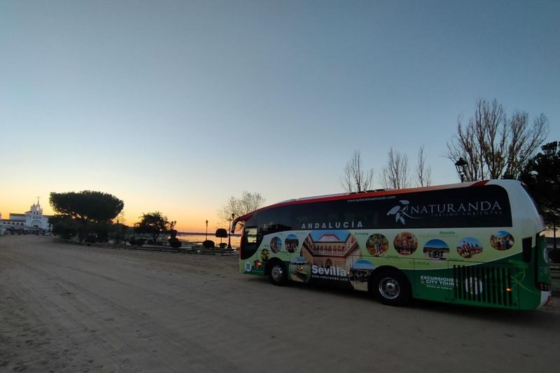 Donana National Park and El Rocio Village Day Tour from Seville - Palacio del Acebrón and the gallery forest walk