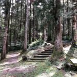 Dongyanshan Forest Recreation Area Ticket - Choose a walk that fits your day