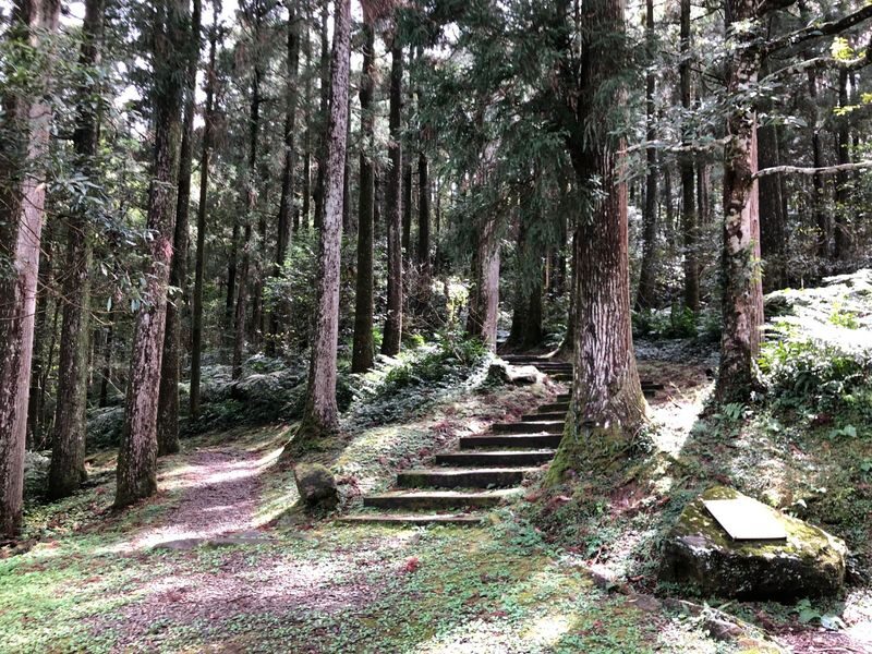 Dongyanshan Forest Recreation Area Ticket - Choose a walk that fits your day