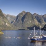 Doubtful Sound Overnight Cruise - What the first afternoon on the fjord feels like
