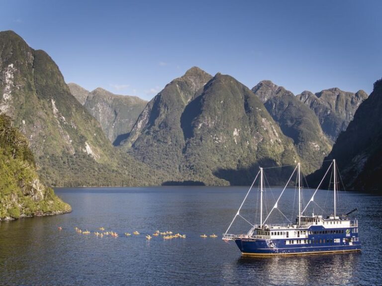 Doubtful Sound Overnight Cruise - What the first afternoon on the fjord feels like