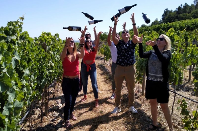 Douro Valley Small Group Day Tour with Lunch from Porto - First winery: understanding Douro wine