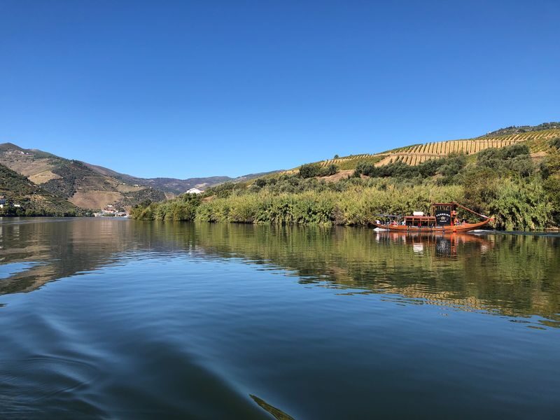 Douro Valley Wine Tasting, Boat trip & Lunch Day Tour from Porto - A quiet hour on the Douro at Pinhão