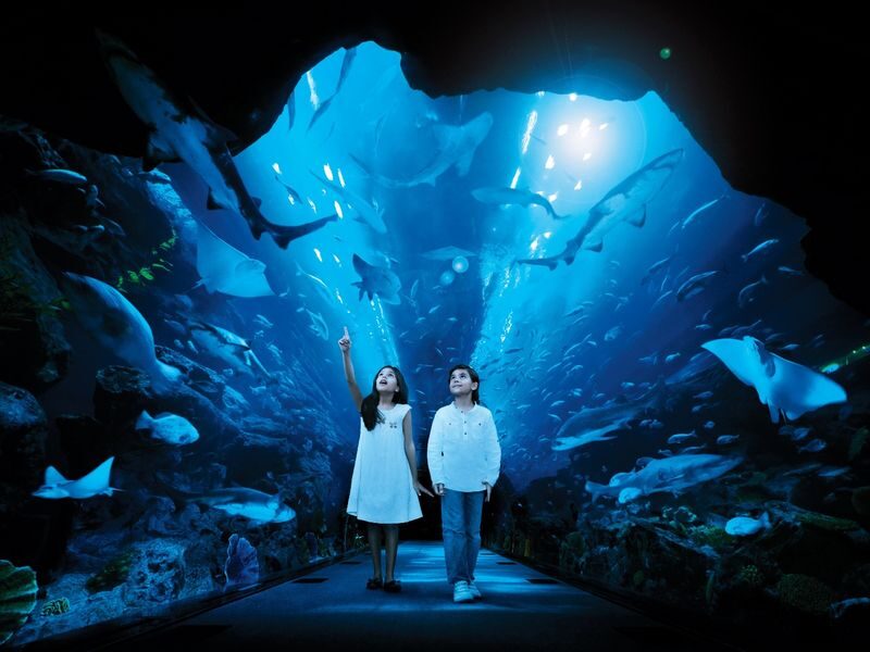 Dubai Aquarium Ticket - Level 2 brings the longer visit