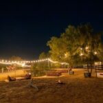 Dubai: Premium Night Desert Safari with Camel Ride & Stargazing - Al Marmoom Oasis after dark