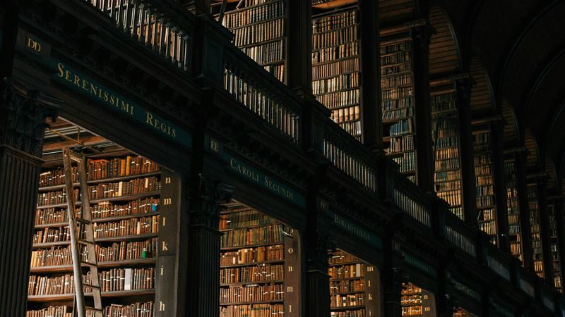 Dublin Book of Kells & Castle Half-Day Guided Tour - Trinity College and the Book of Kells