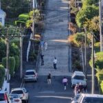 Dunedin City Highlights & Larnach Castle Gardens Tour - From the Octagon to the coast