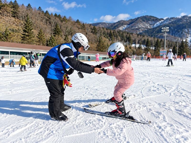 Early Bird: Elysian Winter Ski, Snowboard & Sled Tour from Seoul - A one-hour lesson for first-timers