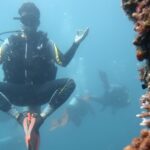 El Nido Discover Scuba Diving in Palawan - Three sessions, with time to settle in