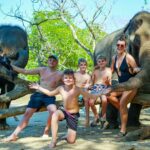 Elephant and Beach Experience at Phuket Siray Elephant Care Camp - The 50-minute feeding visit