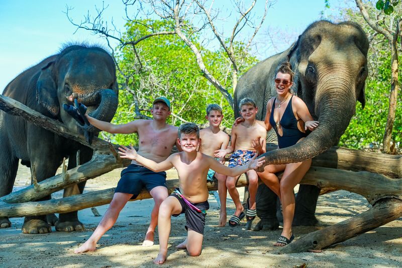 Elephant and Beach Experience at Phuket Siray Elephant Care Camp - The 50-minute feeding visit