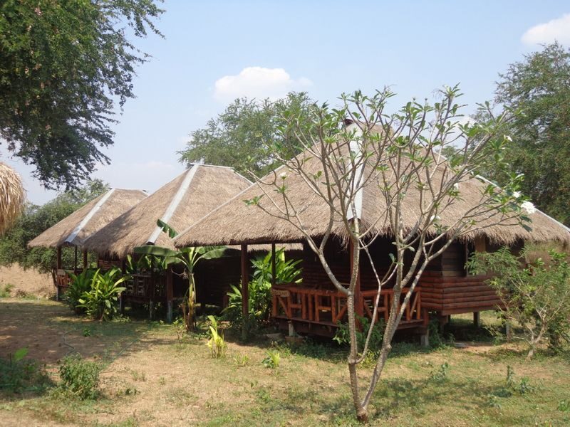Elephant Day Care at Elephants World Kanchanaburi - How the two-day program unfolds