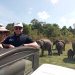 Ella, Yala & Kandy 2 Days All Inclusive Private Tour - Ravana Waterfall and Nine Arches Bridge