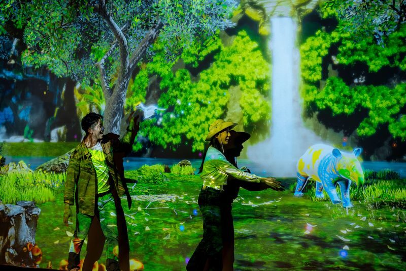 Enchanted Forest Admission Ticket at Monkey Canopy - Follow the glowing paths at your own pace