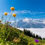 Engelberg: Mount Titlis Cable Car Ticket - Trübsee gives the trip a slower middle chapter