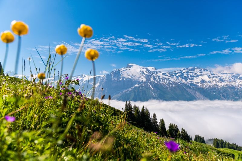 Engelberg: Mount Titlis Cable Car Ticket - Trübsee gives the trip a slower middle chapter
