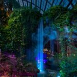 Entopia by Penang Butterfly Farm Ticket - Explore Cocoon’s insects, reptiles, and life cycles