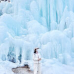 Eobi Ice Valley, Light Festival, Alpaca World, Nami Island & More - Nami Island is the main breathing space
