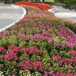 Eufloria Gardens and Sculpture Park in Genting Highlands - What the walk is likely to feel like