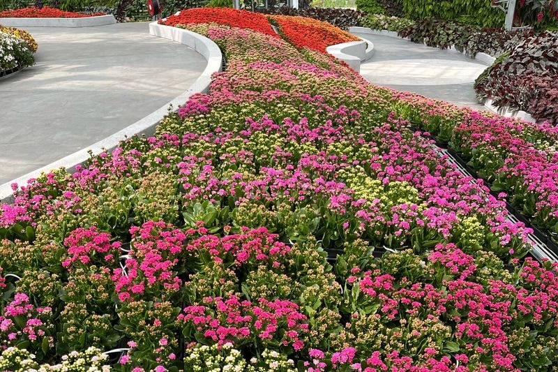 Eufloria Gardens and Sculpture Park in Genting Highlands - What the walk is likely to feel like