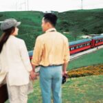 European Garden Da Lat Ticket - Flowers, windmill, and photo stops