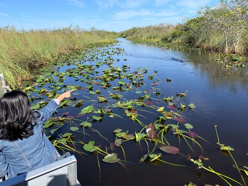 Everglades Airboat Guided Tour with Alligator Exhibit Presentation - What happens at Everglades Holiday Park