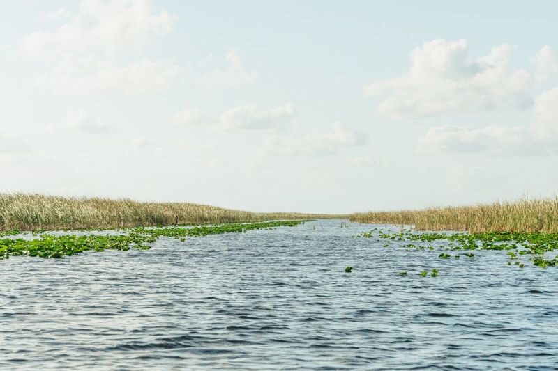 Everglades Airboat Tour from Miami - On the airboat across Sawgrass