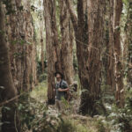 Everglades Explorer Noosa - From Habitat Noosa to Fig Tree Point
