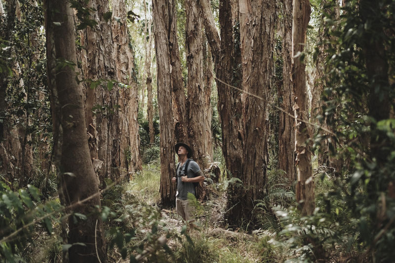 Everglades Explorer Noosa - From Habitat Noosa to Fig Tree Point