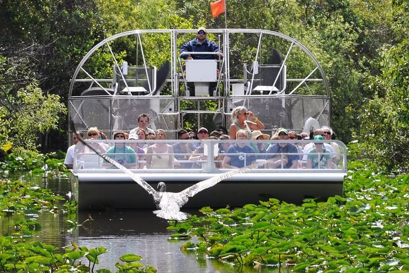 Everglades Safari Park Ticket in Florida - How to plan your visit around departures