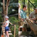 Experience Pass Currumbin Wildlife Sanctuary and Zipline - Start with the sanctuary’s kangaroos, koalas and emus