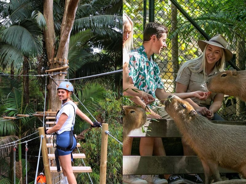 Experience Pass Currumbin Wildlife Sanctuary and Zipline - Start with the sanctuary’s kangaroos, koalas and emus