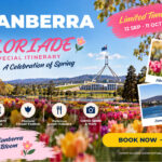 Explore Canberra: The Heart of Australia with Buffet Lunch - Parliament House: a self-guided look at the seat of government