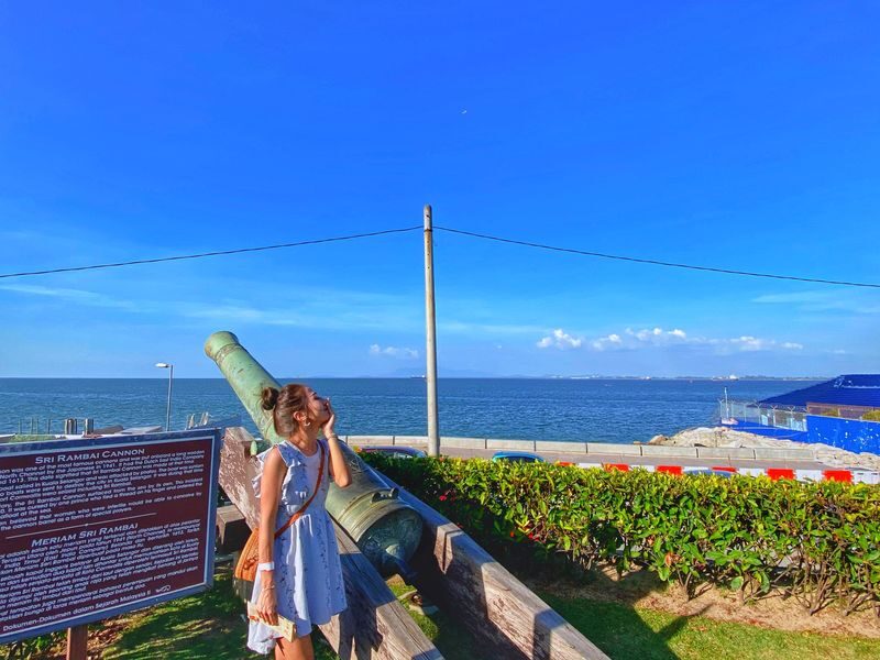 Explore Georgetown Half Day City Tour - Fort Cornwallis and the colonial city